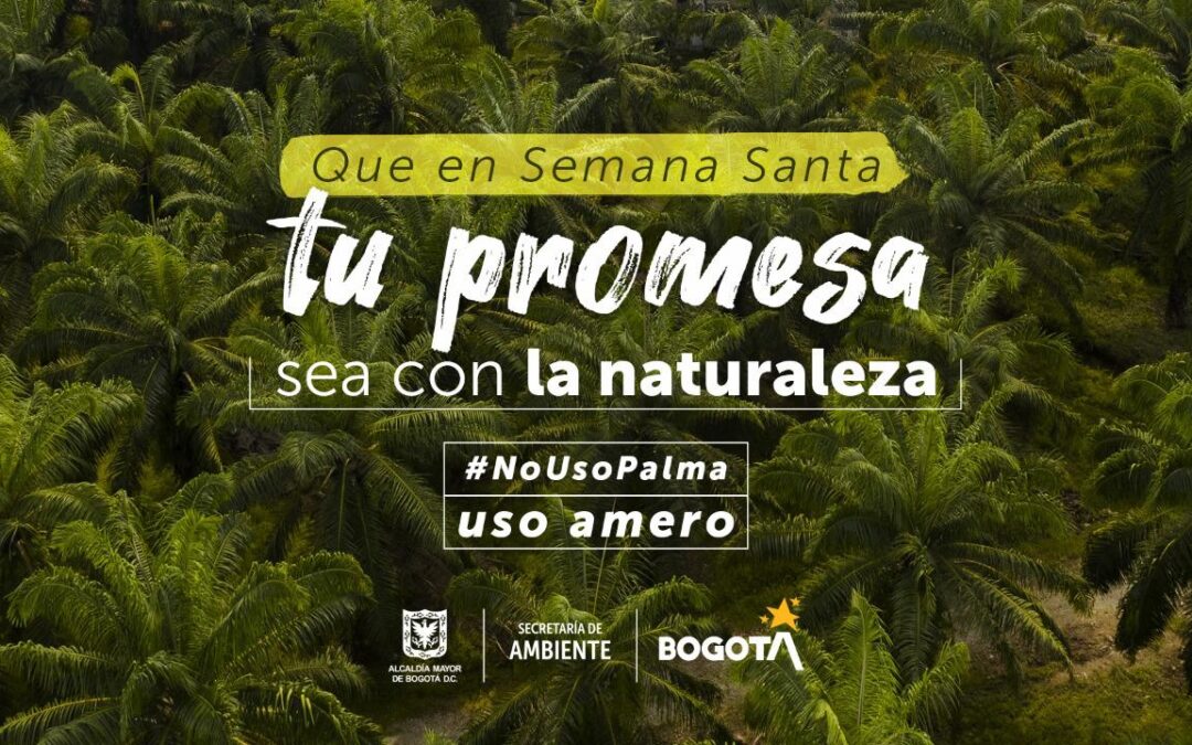 Que en Semana Santa tu promesa sea con la naturaleza: campaña para proteger las palmas y la fauna silvestre